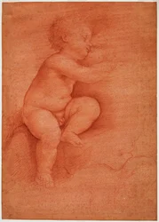 Studie putta (Ježíška), počátek 16. století (krev na červeném připraveném papíře)